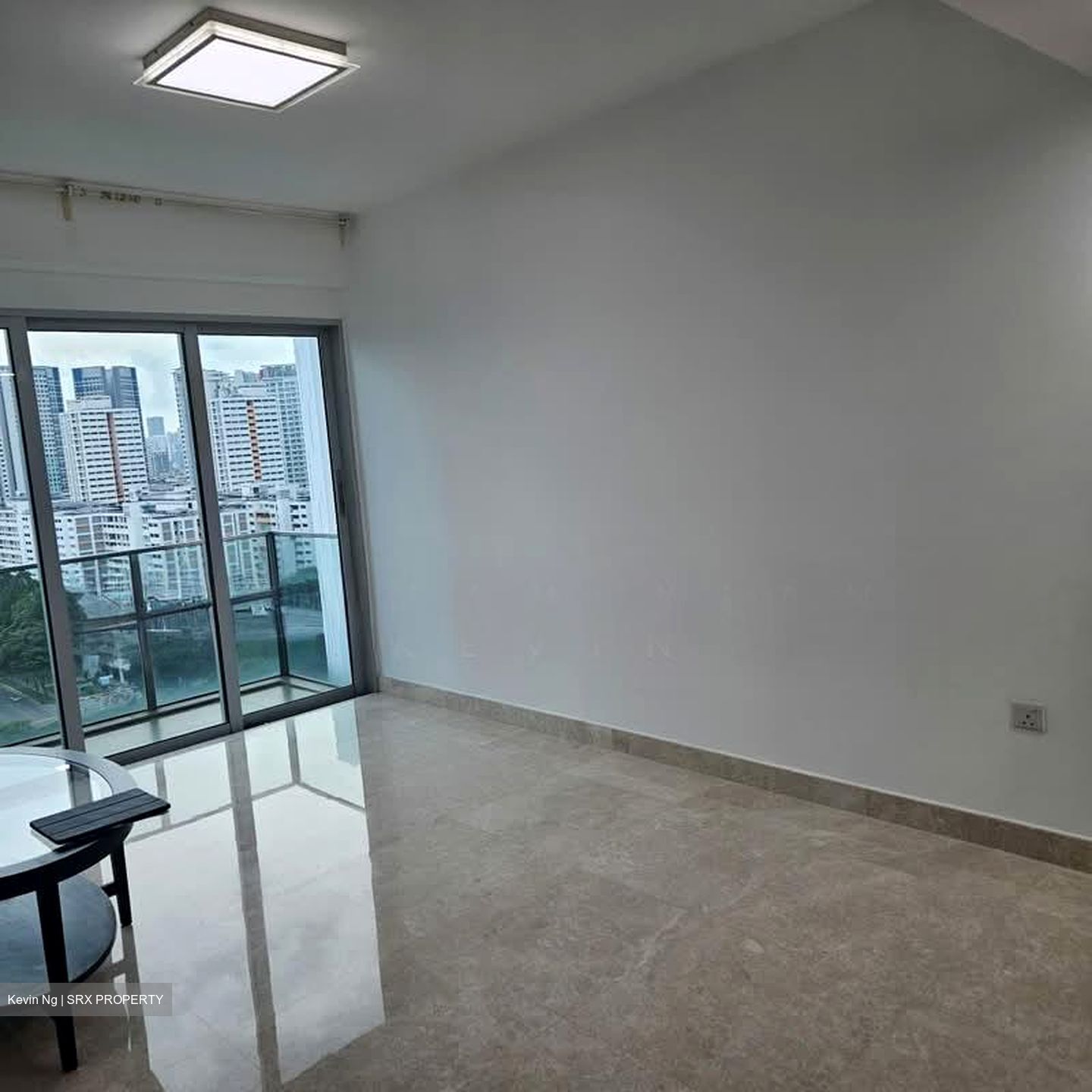 Eight Riversuites (D12), Condominium #587198401